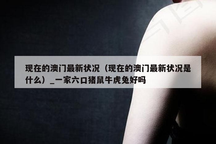 现在的澳门最新状况(现在的澳门最新状况是什么)_一家六口猪鼠牛虎兔好吗